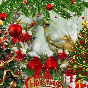 Meet your Posher, Irene